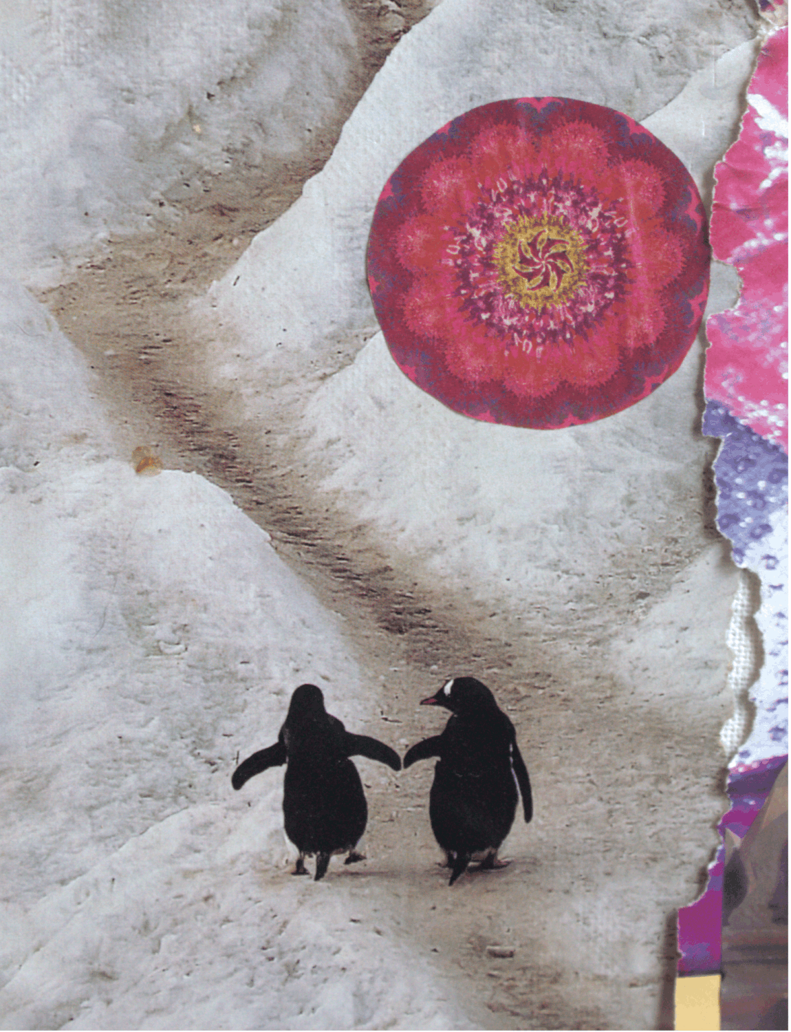 Collage van 2 pinquins waarvan de rechtse pinquin naar de linker pinquin kijkt en de vin aantikt