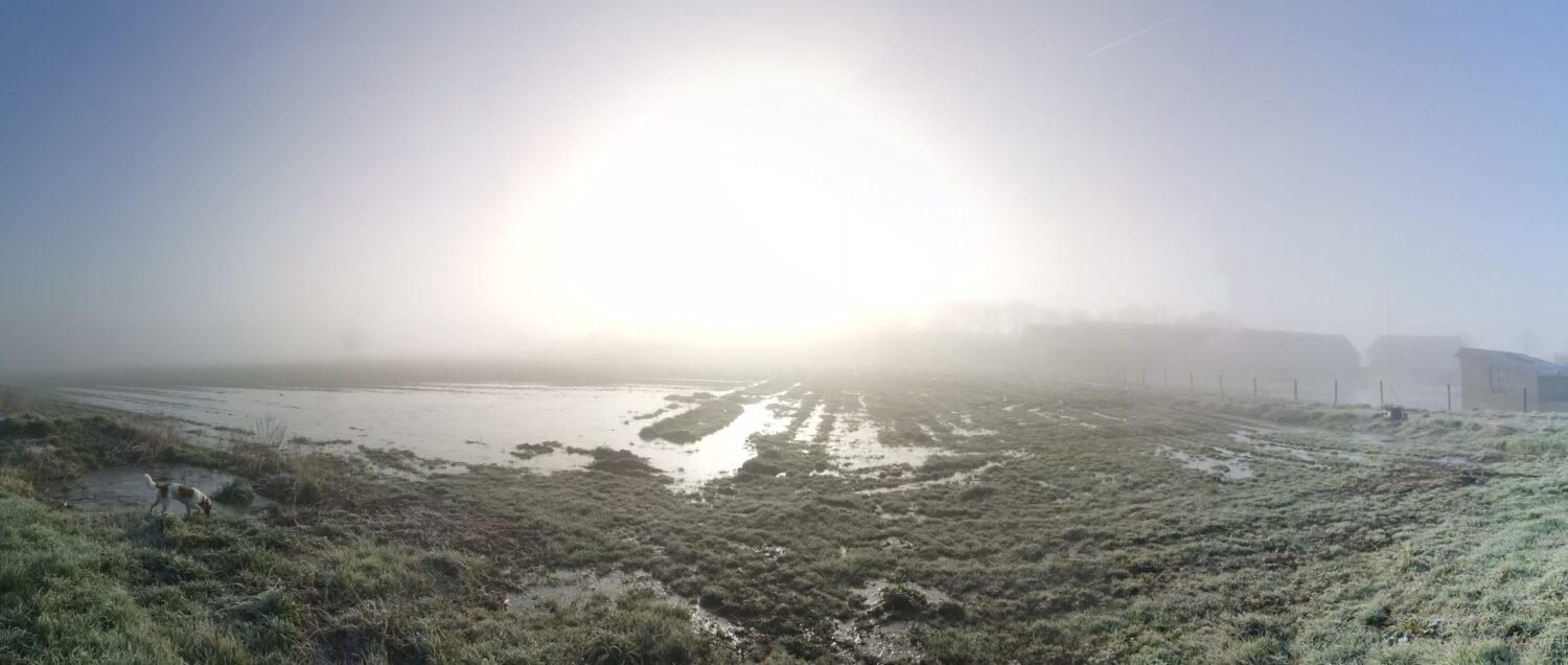 Door zon verlicht landbouwakker in de mist
