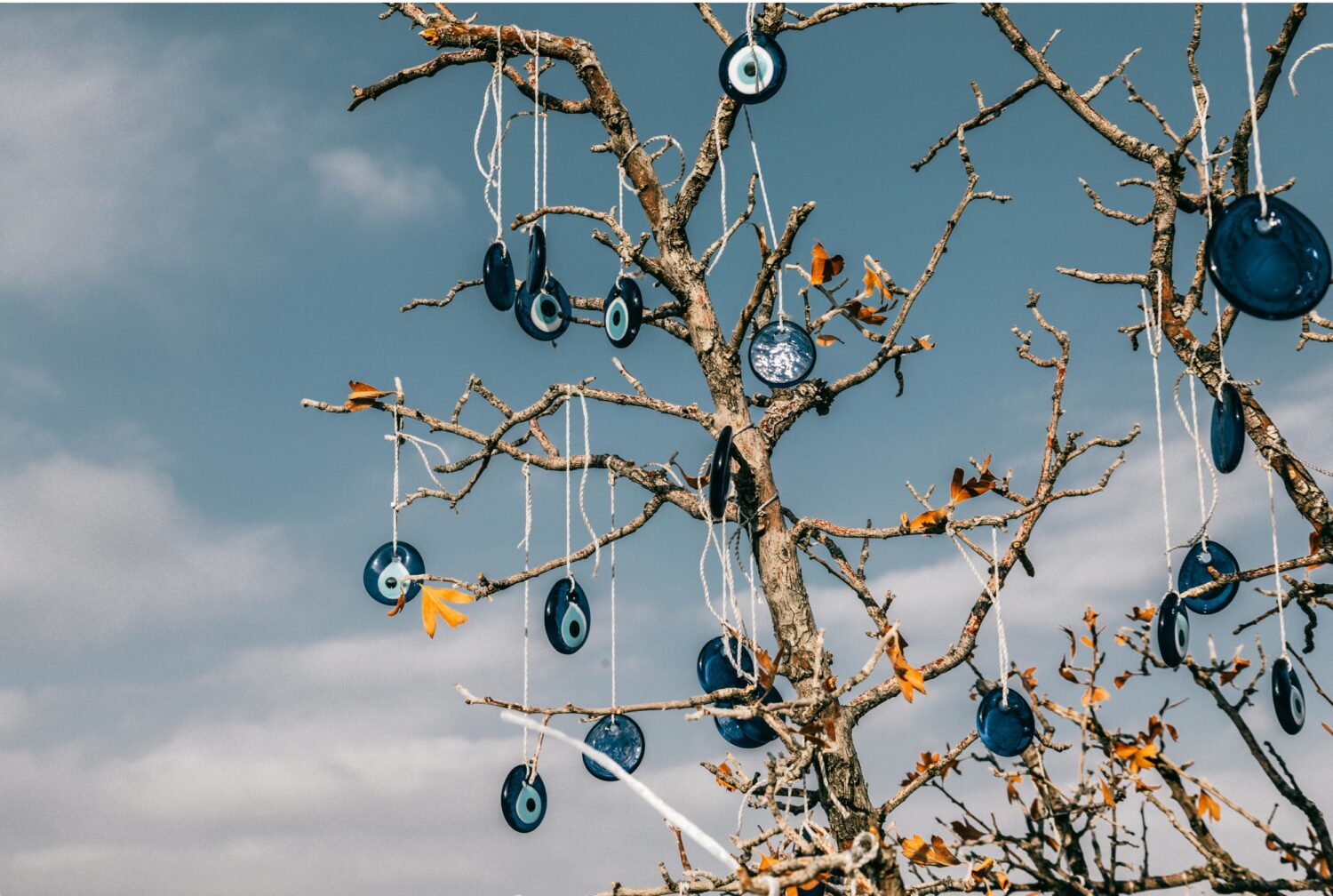 Boomtak versierd met Griekse ‘Matiasma’s (boze oog) ter bescherming tegen het kwade